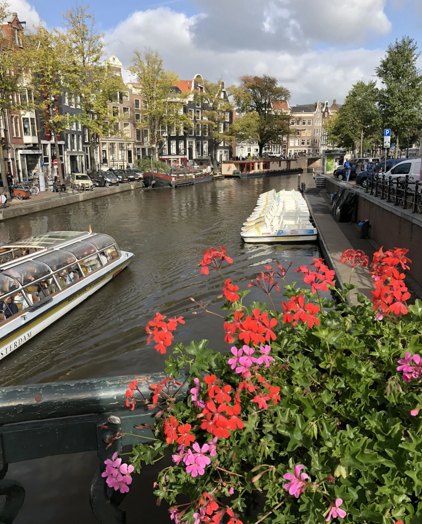 Riven in Amsterdam 