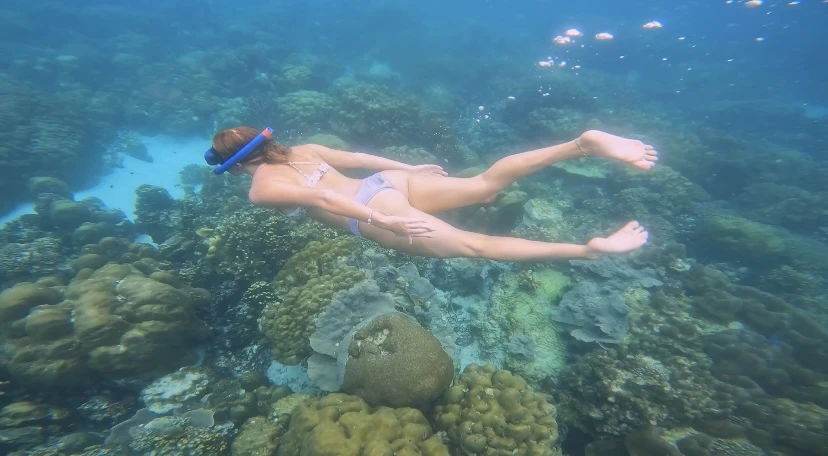 woman swims over reef