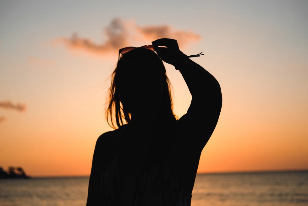 A person holding their sunglasses looking at the sunset.