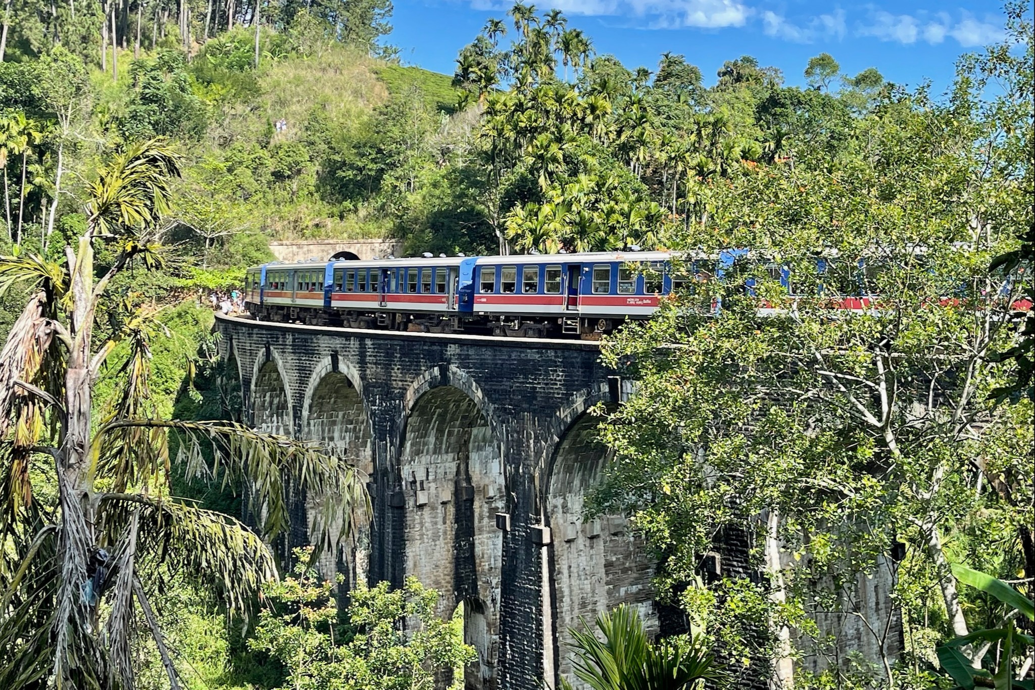 Train ride to Ceylon Tea Region.