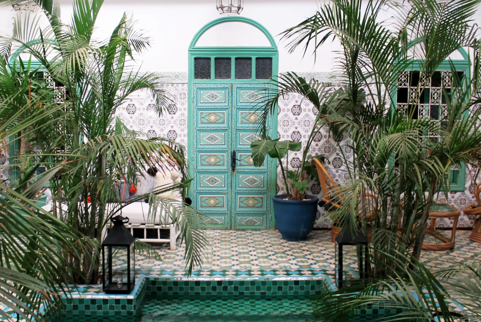 Tall green plants with blue tiled stairs and blue door with white wall