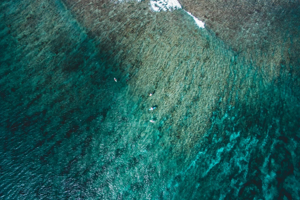 Ariel view of the Maldives luxury surfing with blue and tan water and white crashing waves.