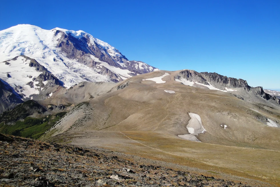 Burroughs Mountain Trail is a strenuous 9-mile (roundtrip) hike in the Sunrise area of Mount Rainier National Park.