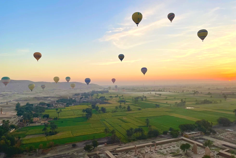 colorful air balloons float through the sunrise over grass and desert land