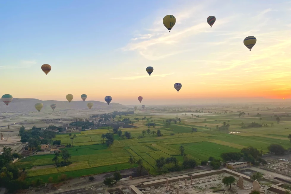 colorful air balloons float through the sunrise over grass and desert land