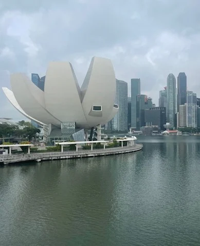 The flower-shaped ArtScience Museum Singapore on the river with the city in the background.