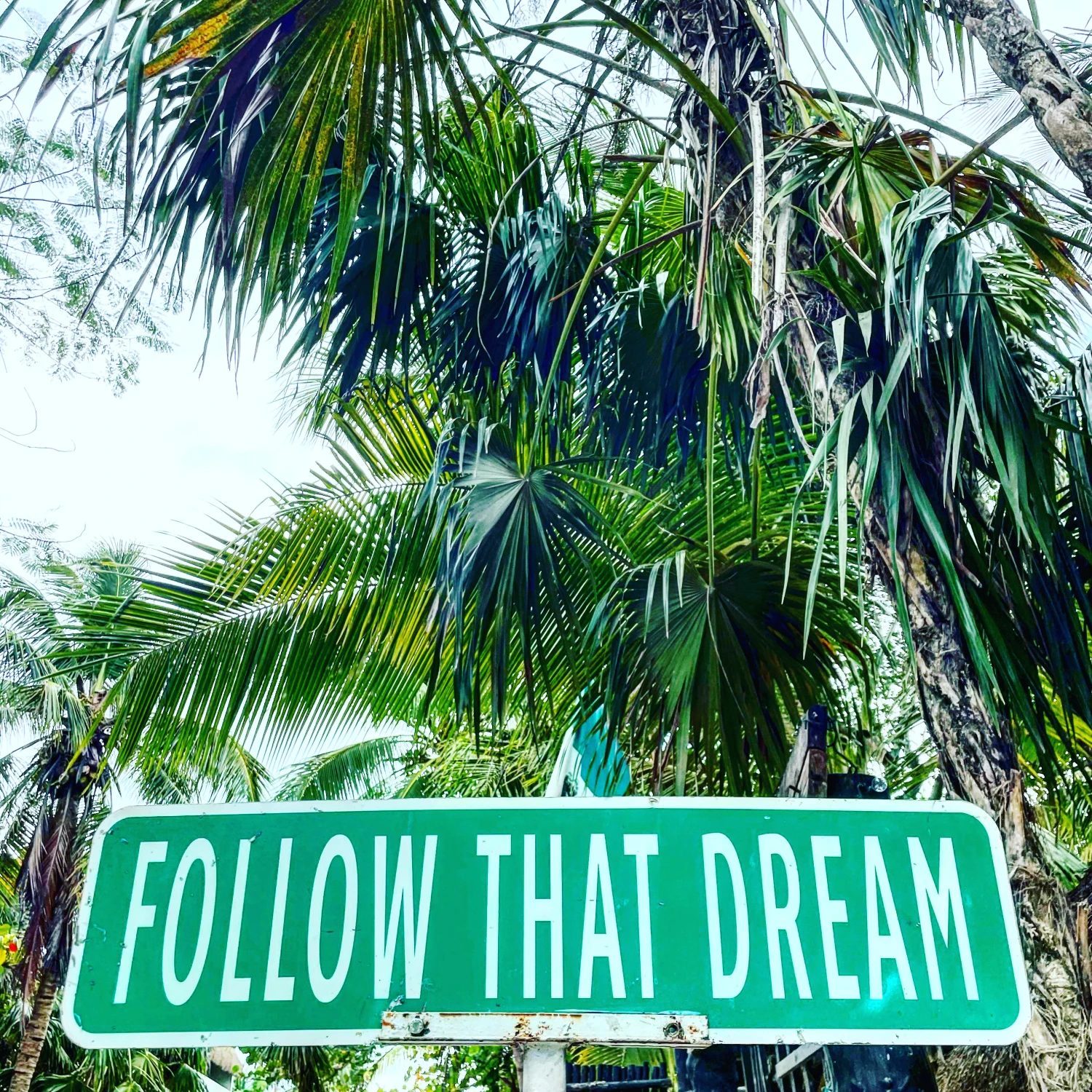 The sign to follow your dream to travel.