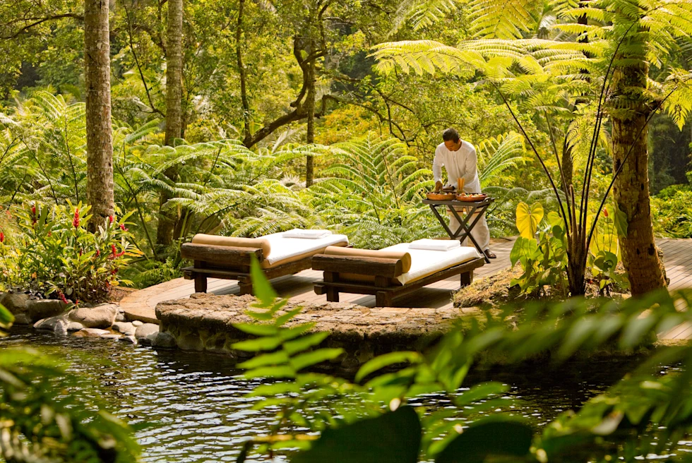 Man standing near two beds surrounded by green trees during daytime