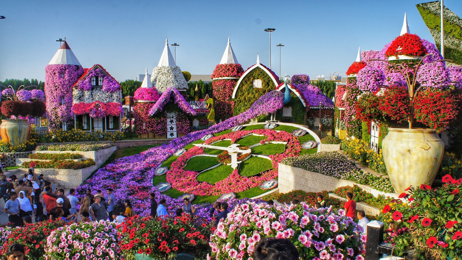 Miracle garden with purple and pink flowers and sculptures in Dubai