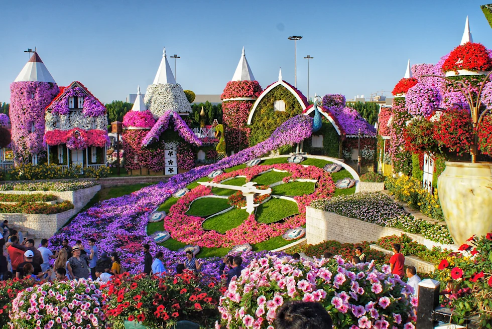 Miracle garden with purple and pink flowers and sculptures in Dubai