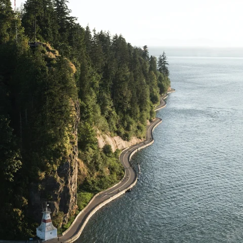 Aerial view of road next to water and trees on cloudy day