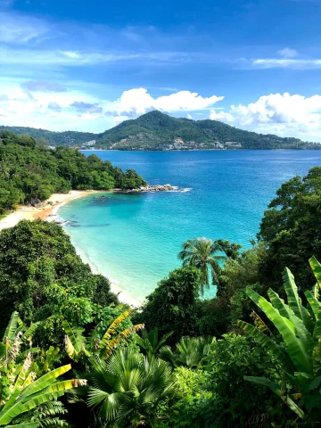 A view of tropical beach from a hill during daytime.