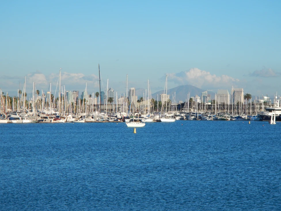 Water filled with boats in San Diego. 