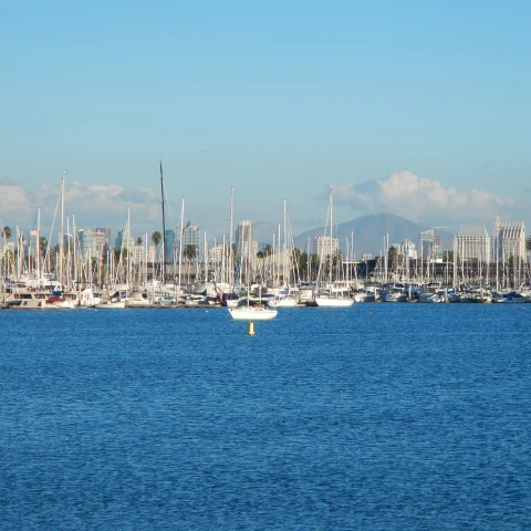 Water filled with boats in San Diego. 