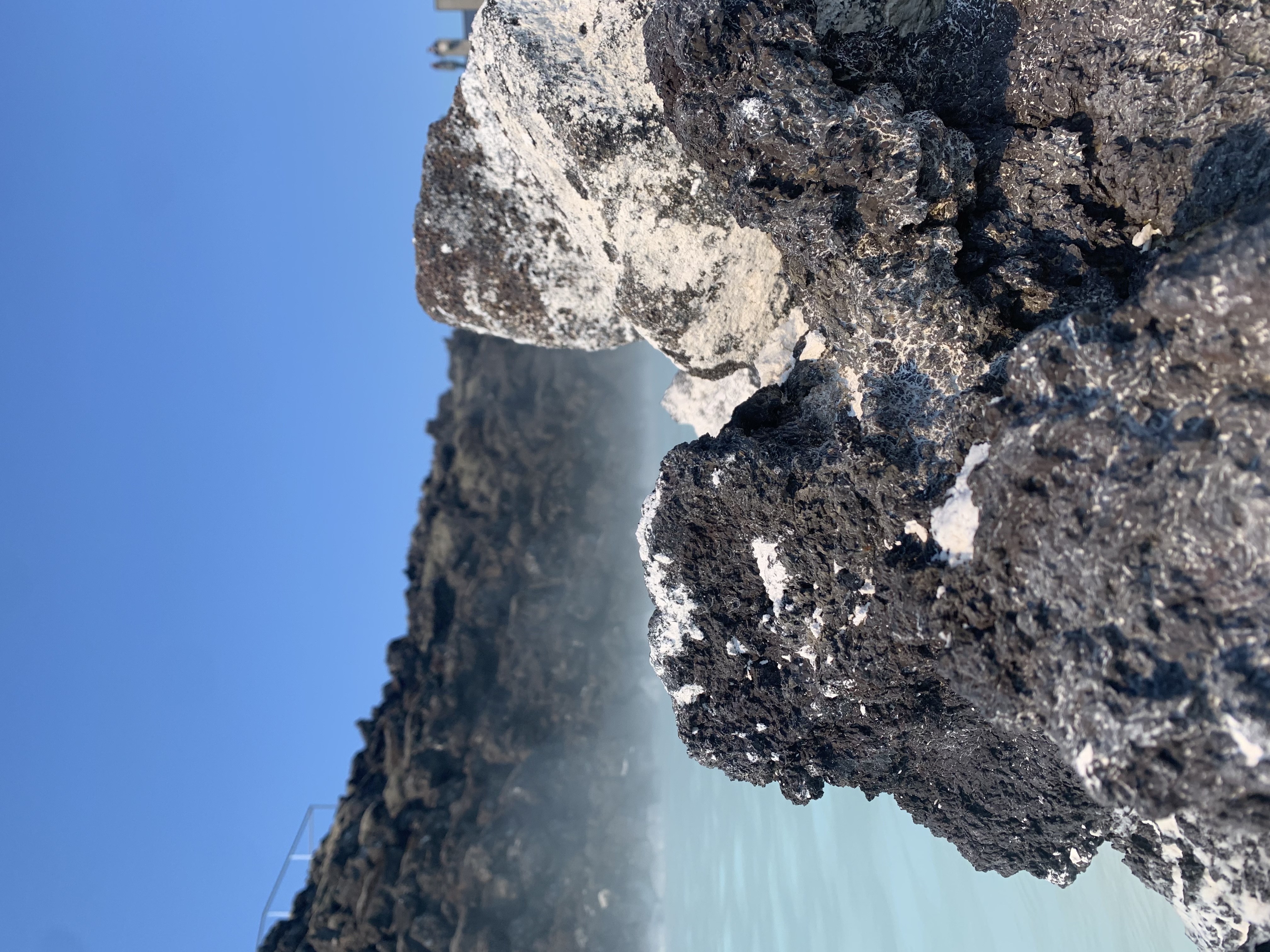 Blue sea water next to trees and a large white house tucked into a rocky coastline
