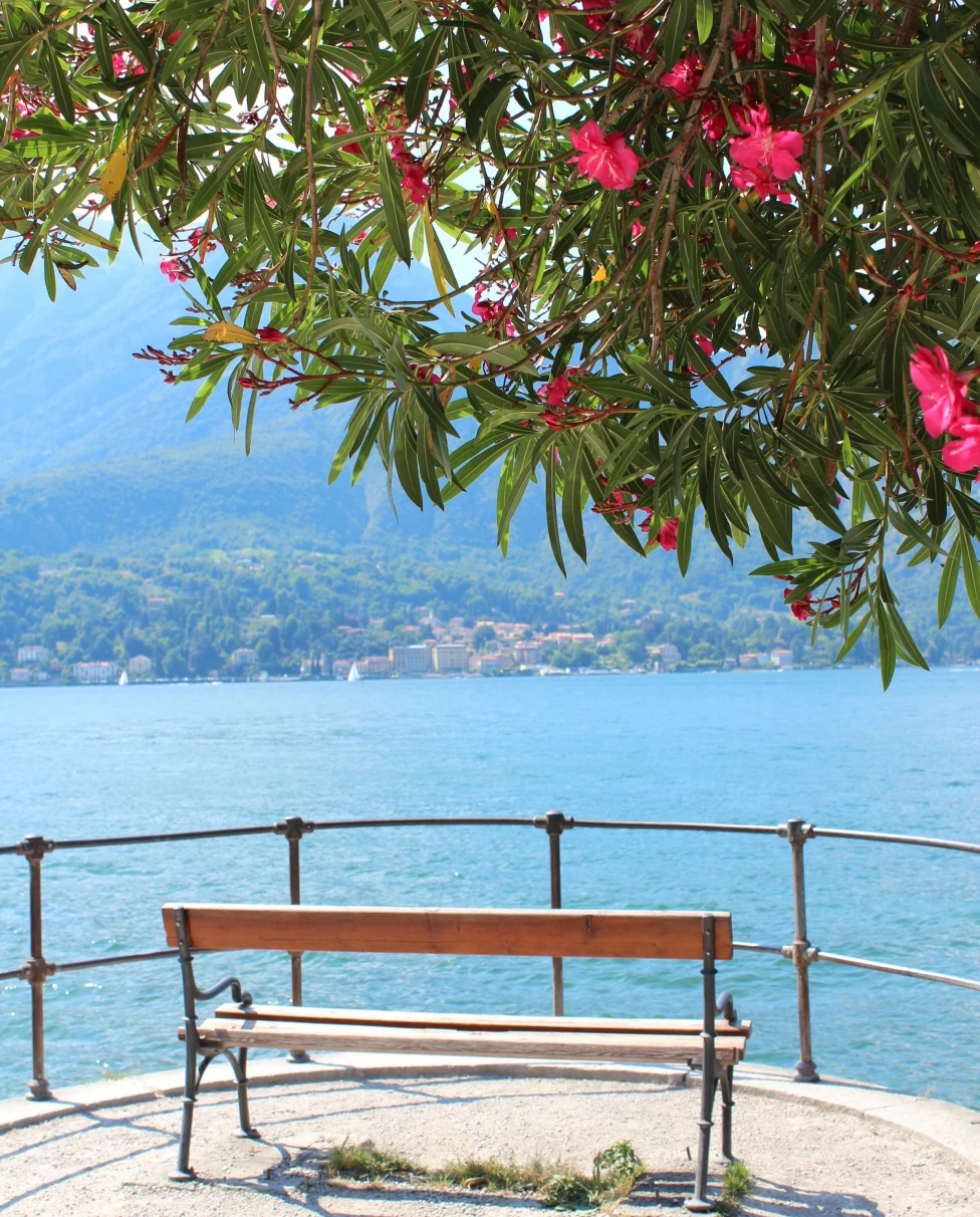 Bellagio is a picturesque lakeside gem nestled amidst the stunning landscapes of Lake Como.