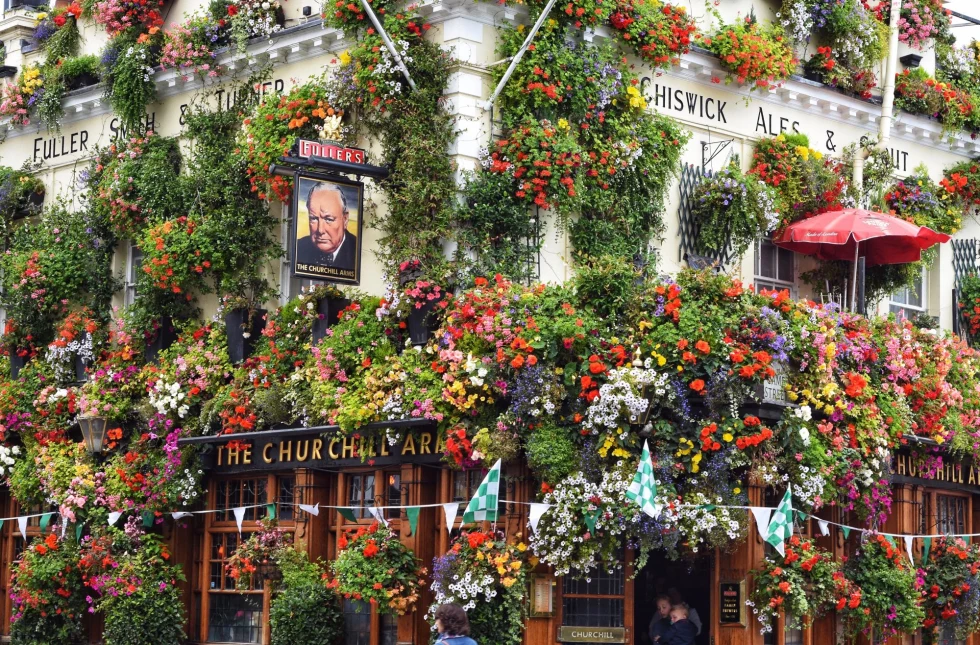 pub covered in flowers