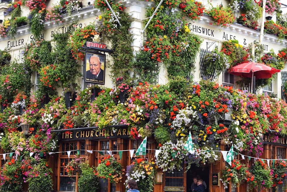 pub covered in flowers