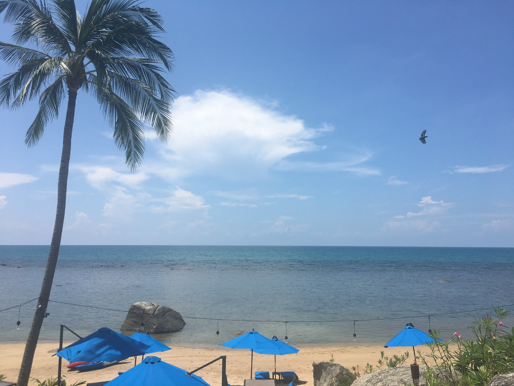 Blue water and clouds