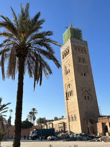 A low-abled view of a tall building next to a palm tree during the daytime