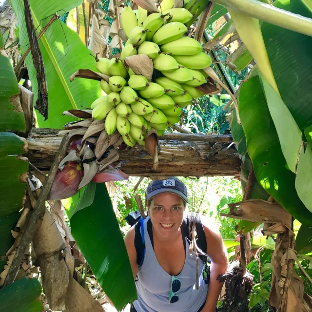 Travel Advisor Kaitlin Davis under a banana tree.