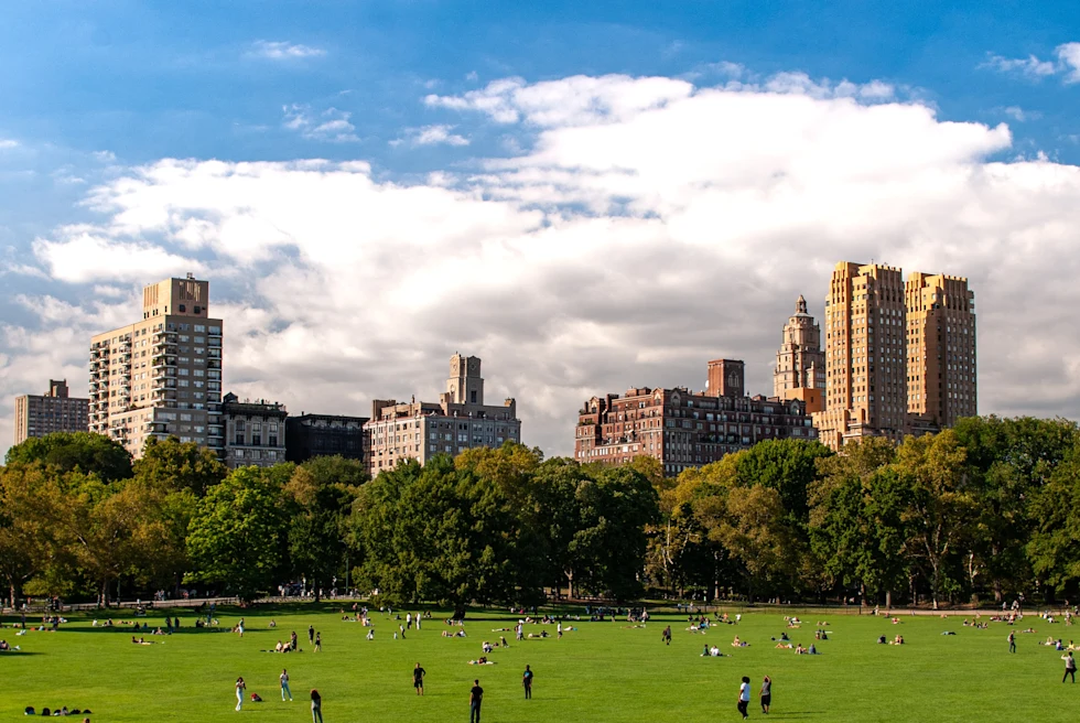 green fields with tall buildings in the background during daytime