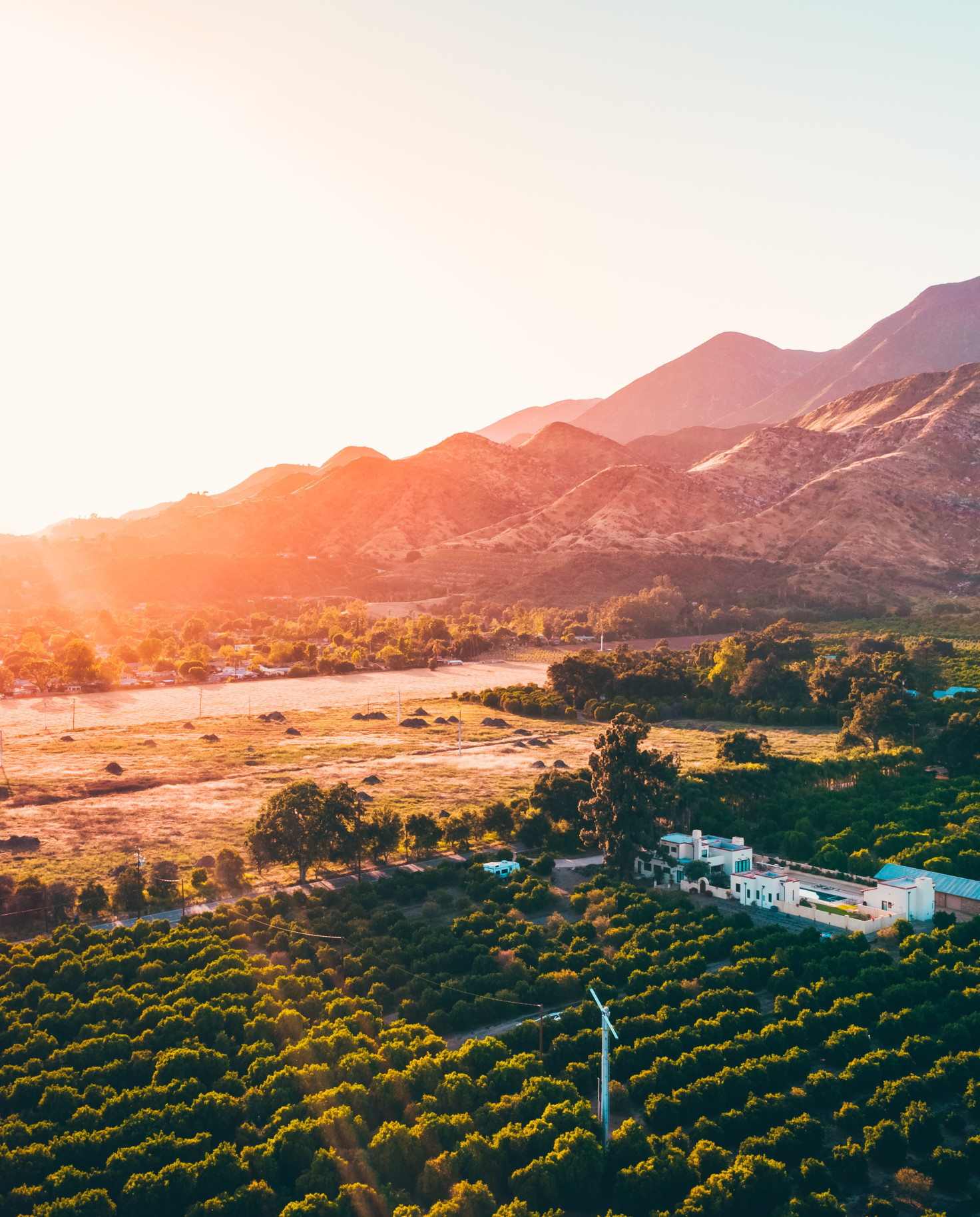 Sun shining on green trees and mountain valley in Ojai, California