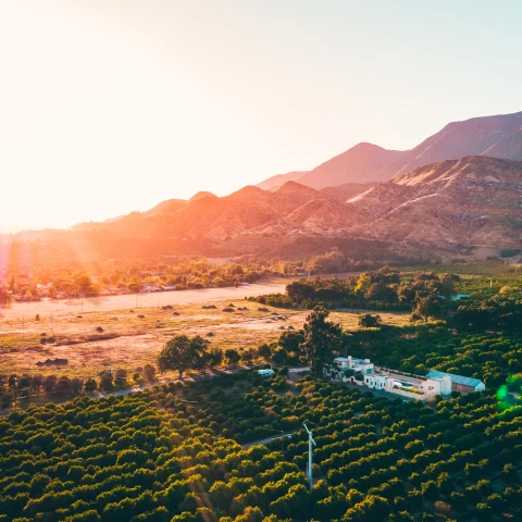 Sun shining on green trees and mountain valley in Ojai, California