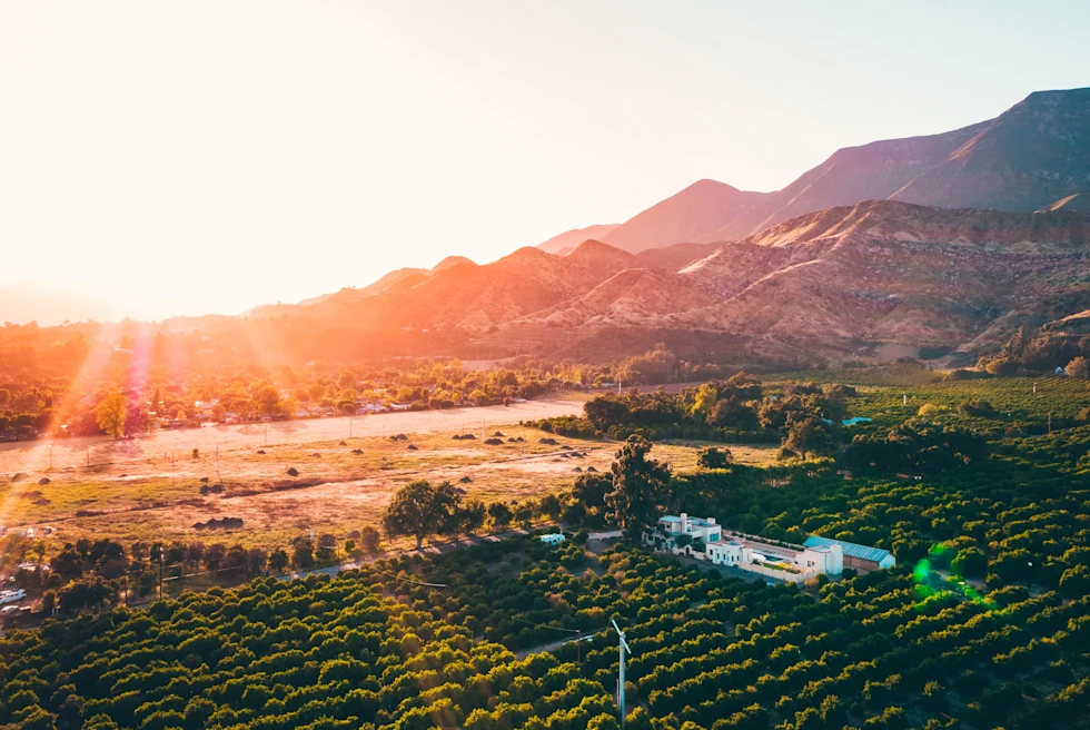 Sun shining on green trees and mountain valley in Ojai, California