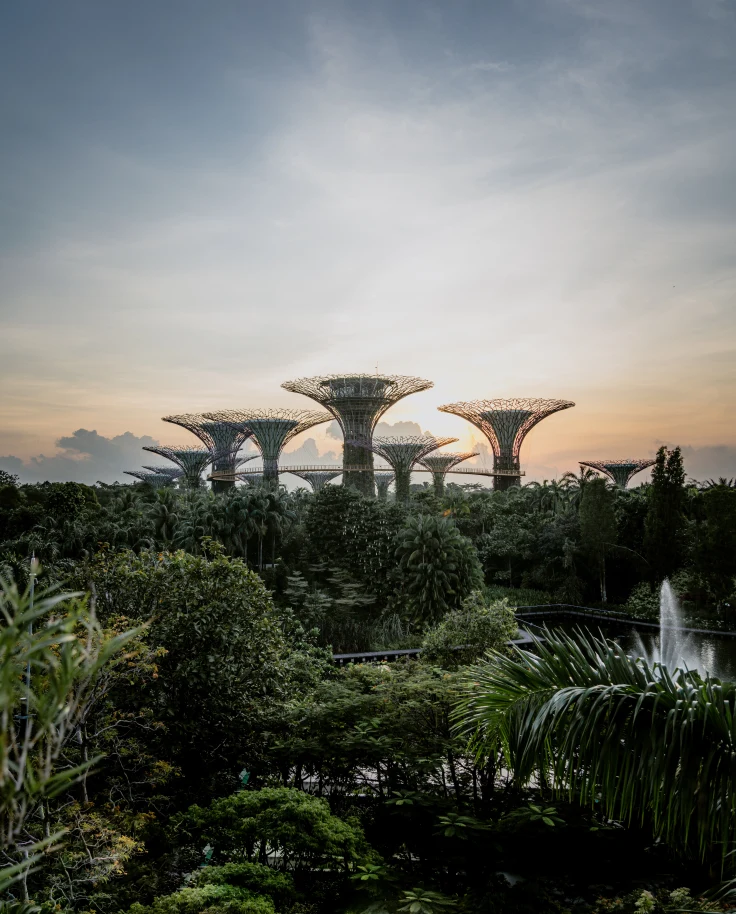 Tall sculptures surrounded by trees during daytime