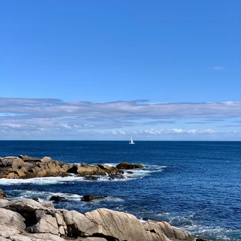 clear blue day on the coast