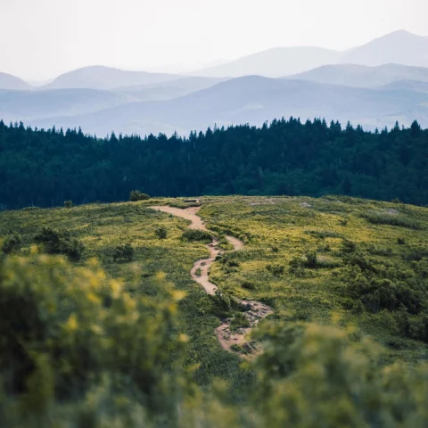 path with mountains in the background during daytime