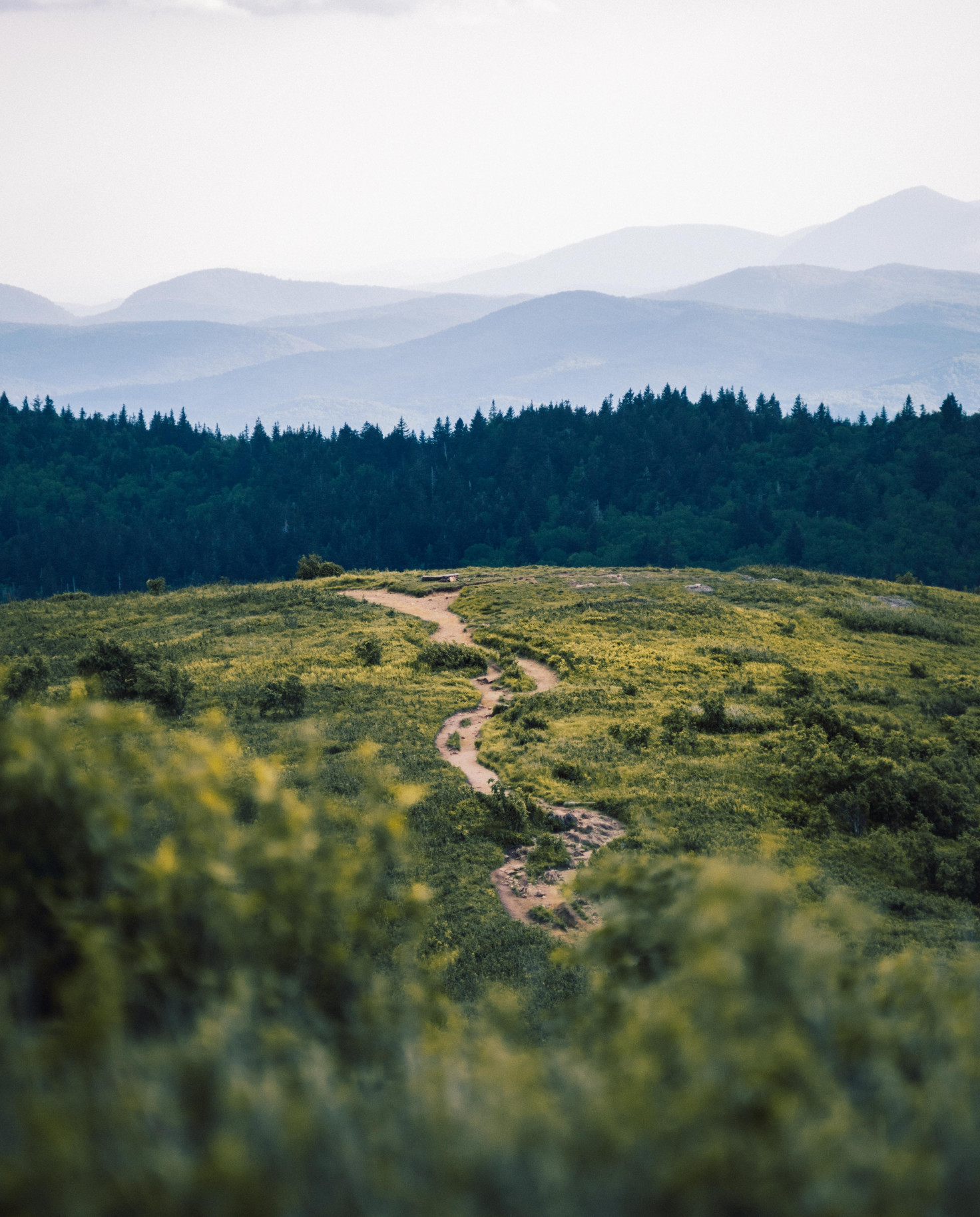 path with mountains in the background during daytime