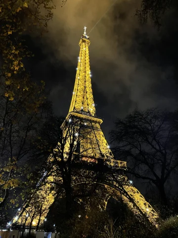 Eiffel tower in the night