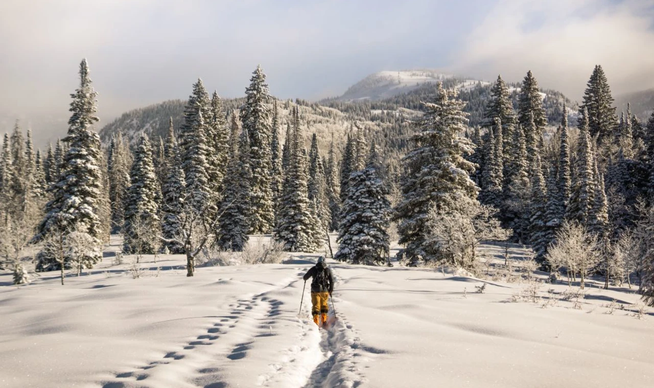 Man hiking through snow in front of a snowcapped mountain and trees.