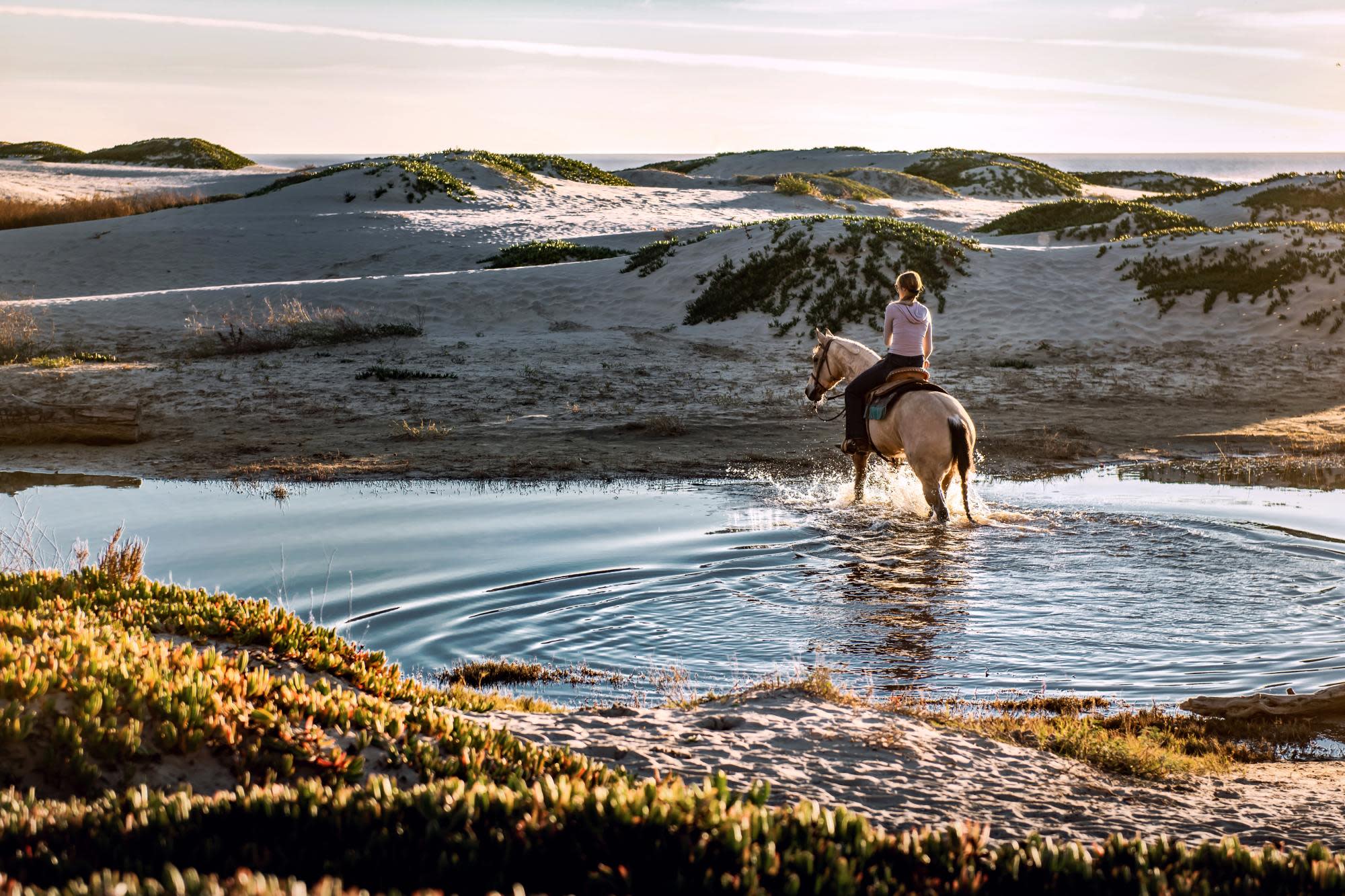 the-most-adventurous-things-to-do-in-puerto-rico-horseback