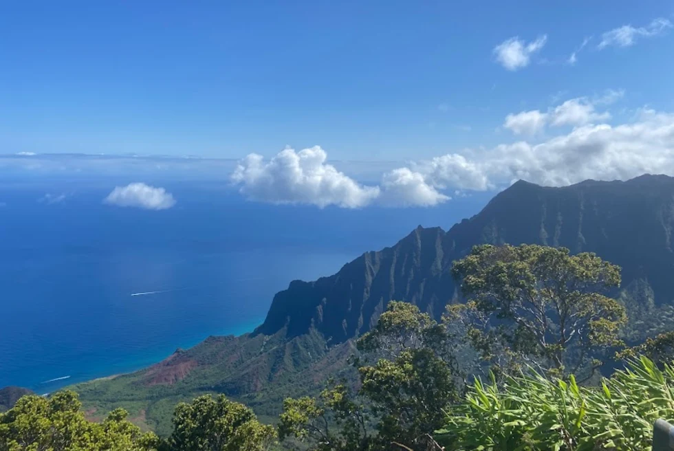 Coastline from above