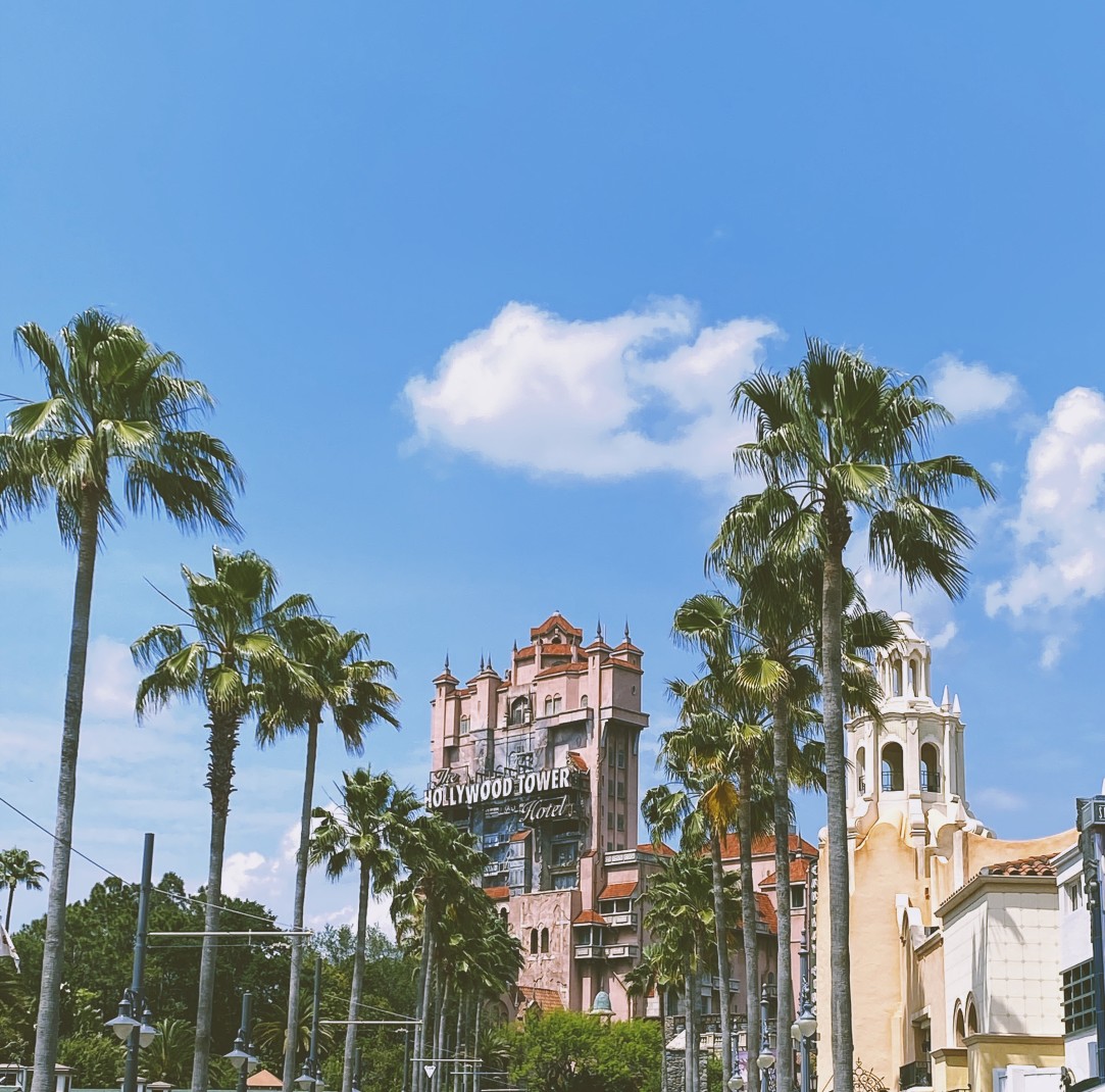 Palm trees with buildings with blue skies during daytime