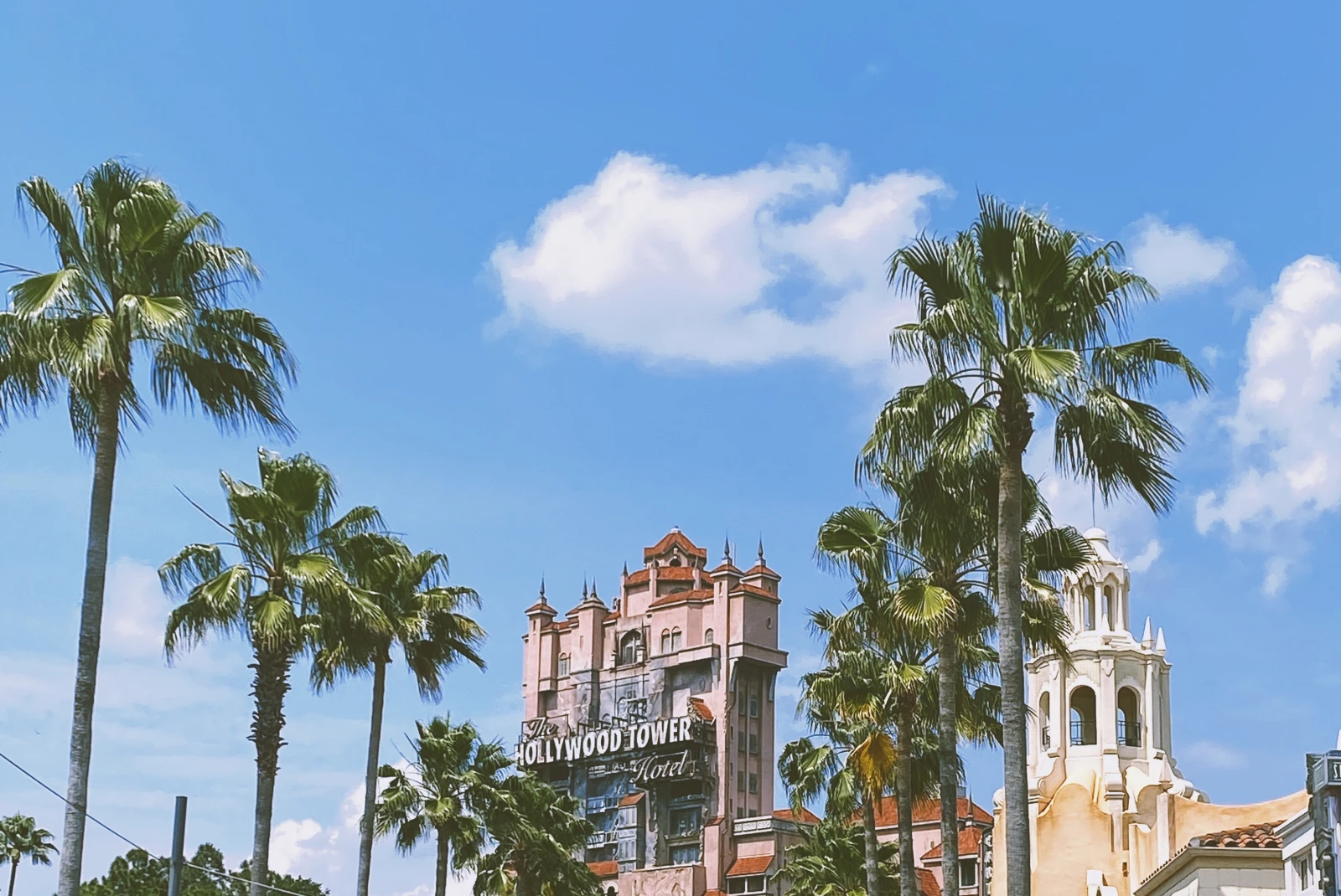 Palm trees with buildings with blue skies during daytime