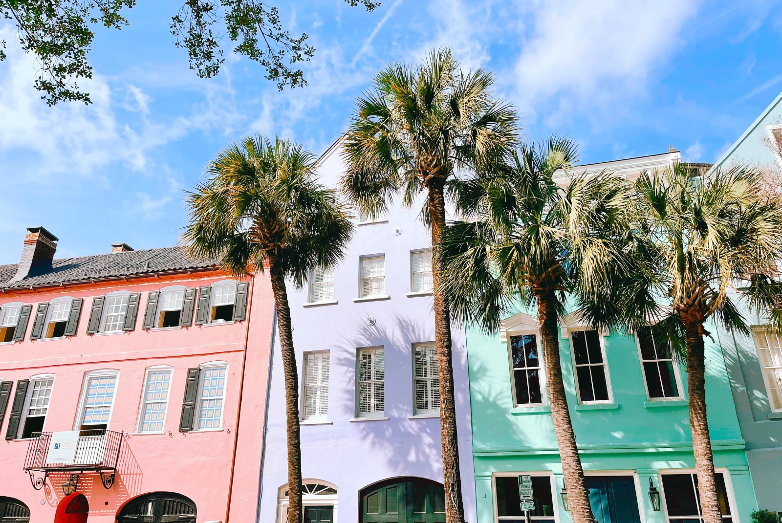 colorful buildings with palm trees during daytime