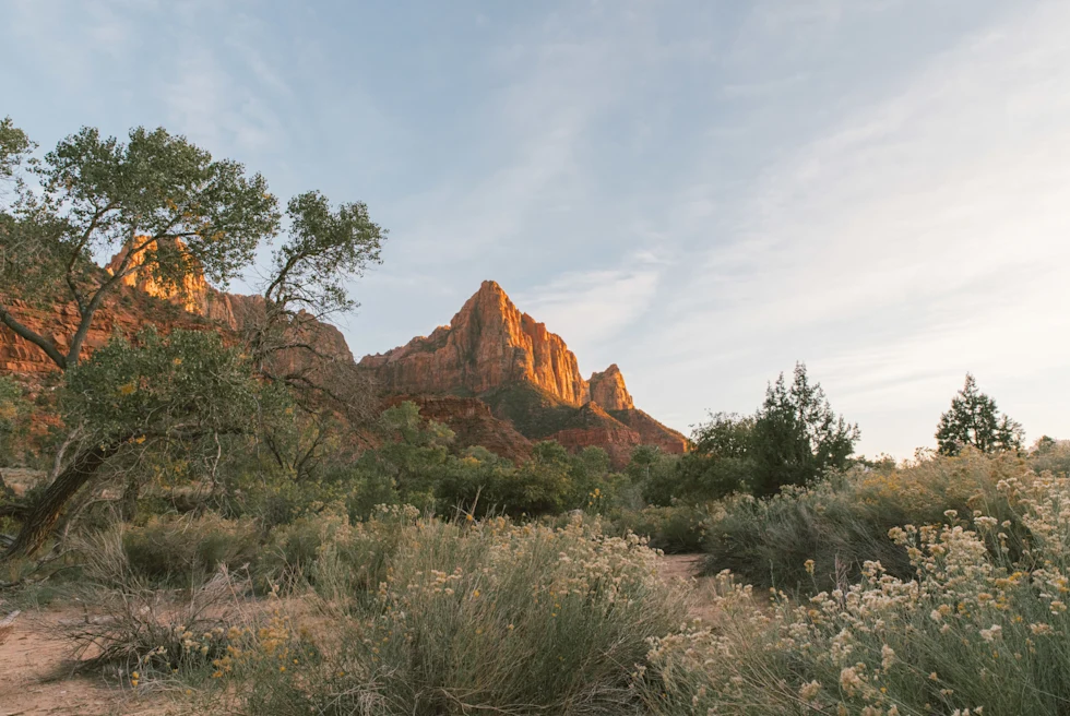 a brown mountain rises in a lush desert valley