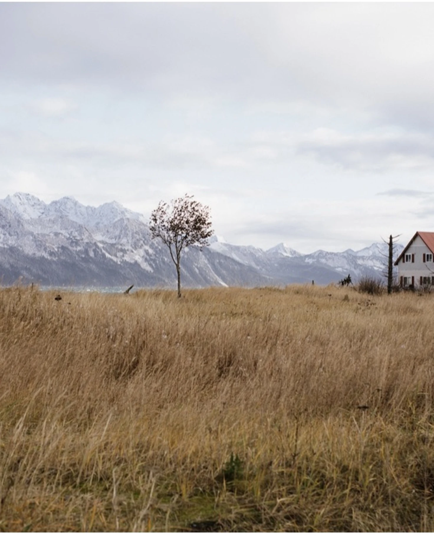 a solitary cabin on a grassy meadow in front of snowy peaks
