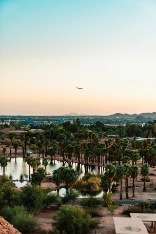Plane flying over the palm tree oasis on a staycation Scottsdale.