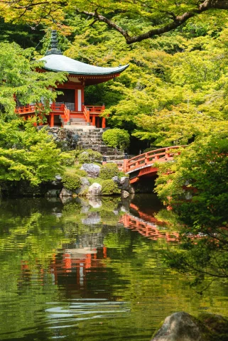 bright green trees and a pristine pond beneath a traditional japanese red pegoda and bridge 