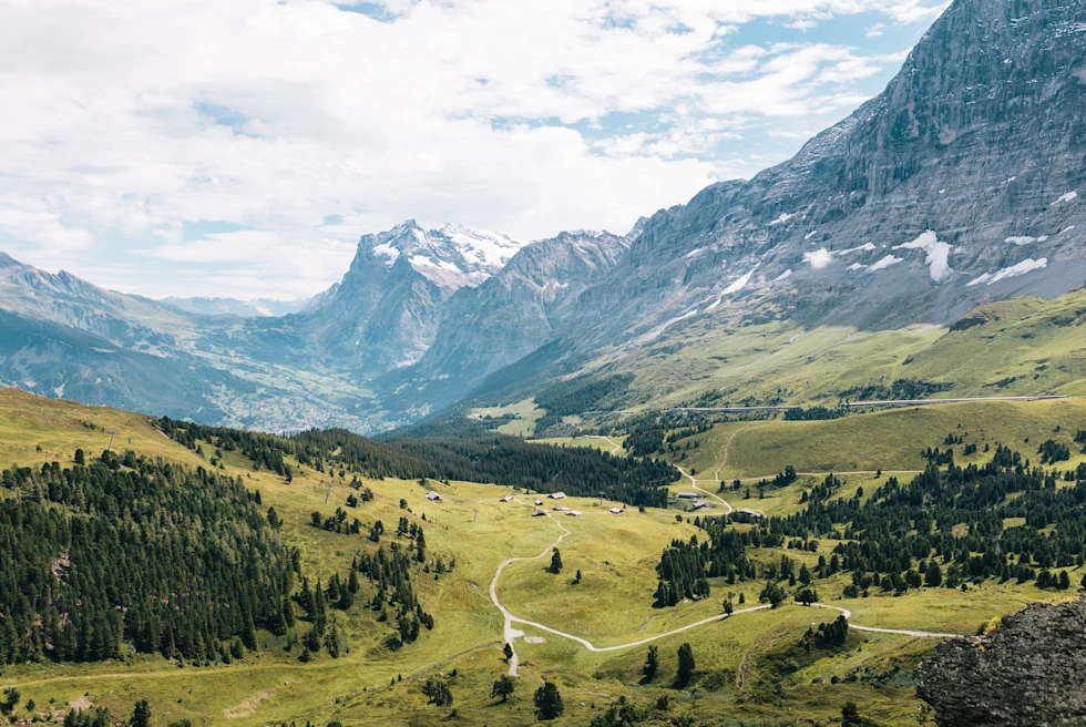 Green land with snow covered mountains.