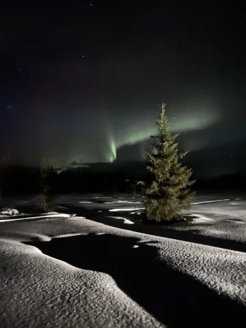view of the green northern lights over a snow landscape at night