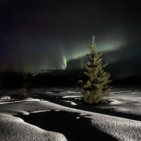 view of the green northern lights over a snow landscape at night