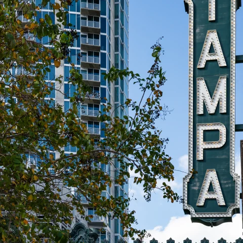 A sign board with the writing TAMPA on roadside and high rise building in the background.