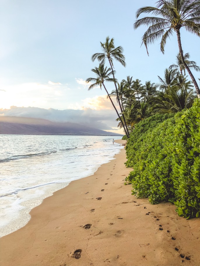 Footprints on a tan sand beach with white waves and green palm trees in Maui, Hawaii.