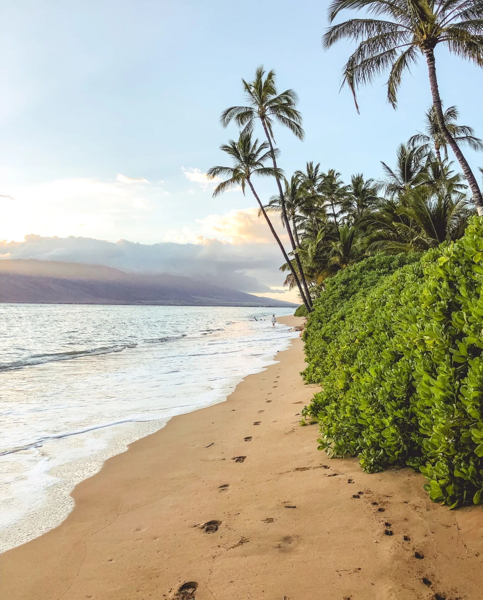 Footprints on a tan sand beach with white waves and green palm trees in Maui, Hawaii.